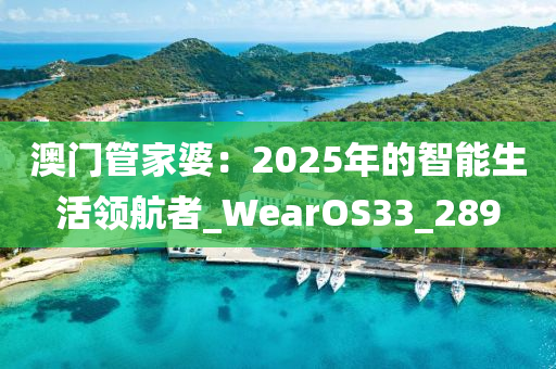 澳门管家婆：2025年的智能生活领航者_WearOS33_289