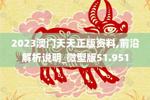 2023澳门天天正版资料,前沿解析说明_微型版51.951