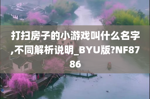 打扫房子的小游戏叫什么名字,不同解析说明_BYU版?NF8786