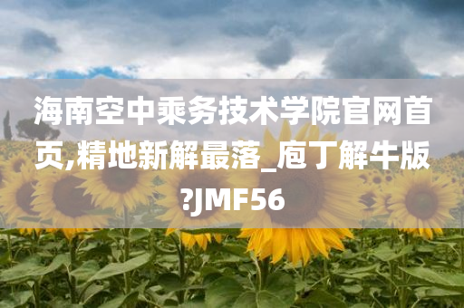 海南空中乘务技术学院官网首页,精地新解最落_庖丁解牛版?JMF56