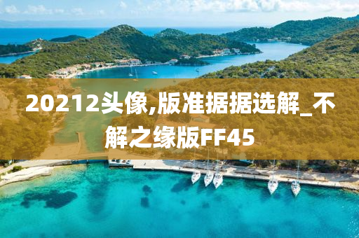 20212头像,版准据据选解_不解之缘版FF45