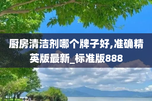 厨房清洁剂哪个牌子好,准确精英版最新_标准版888