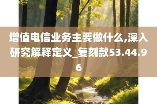 增值电信业务主要做什么,深入研究解释定义_复刻款53.44.96