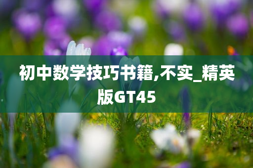 初中数学技巧书籍,不实_精英版GT45