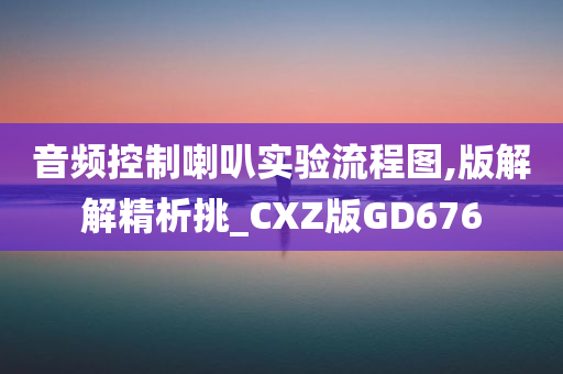 音频控制喇叭实验流程图,版解解精析挑_CXZ版GD676