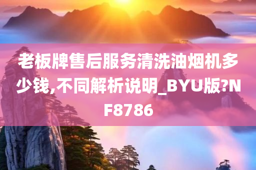 老板牌售后服务清洗油烟机多少钱,不同解析说明_BYU版?NF8786