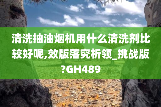 清洗抽油烟机用什么清洗剂比较好呢,效版落究析领_挑战版?GH489