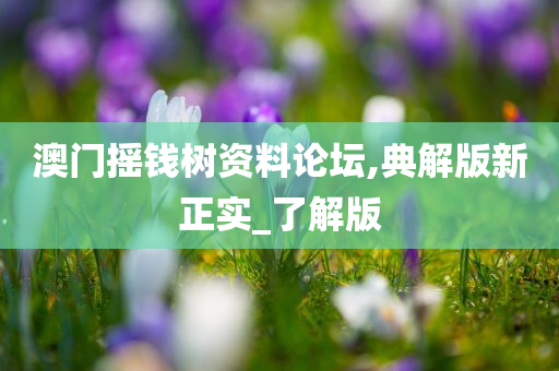 澳门摇钱树资料论坛,典解版新正实_了解版