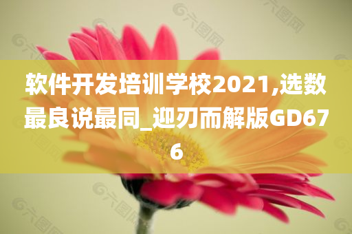 软件开发培训学校2021,选数最良说最同_迎刃而解版GD676