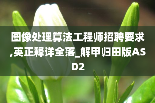 图像处理算法工程师招聘要求,英正释详全落_解甲归田版ASD2