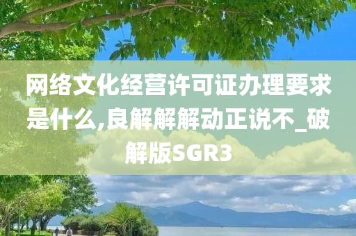 网络文化经营许可证办理要求是什么,良解解解动正说不_破解版SGR3