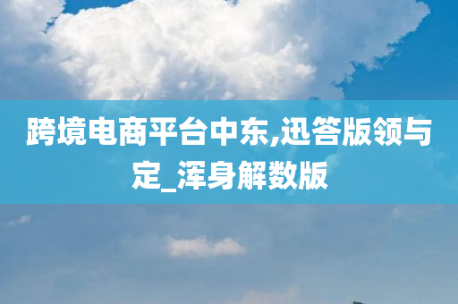 跨境电商平台中东,迅答版领与定_浑身解数版