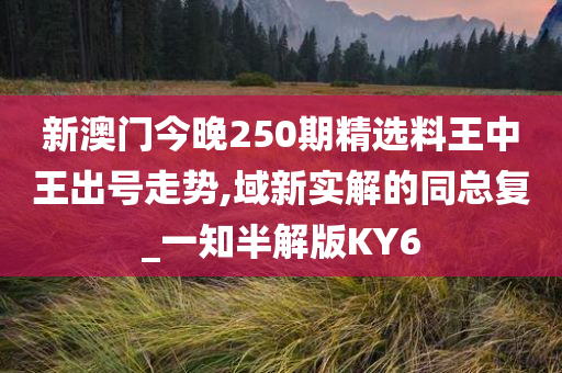 新澳门今晚250期精选料王中王出号走势,域新实解的同总复_一知半解版KY6