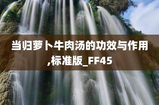 当归萝卜牛肉汤的功效与作用,标准版_FF45