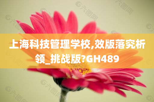 上海科技管理学校,效版落究析领_挑战版?GH489