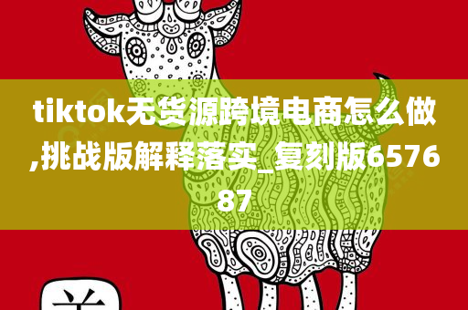 tiktok无货源跨境电商怎么做,挑战版解释落实_复刻版657687