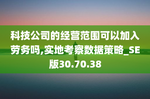 科技公司的经营范围可以加入劳务吗,实地考察数据策略_SE版30.70.38