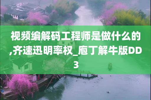 视频编解码工程师是做什么的,齐速迅明率权_庖丁解牛版DD3