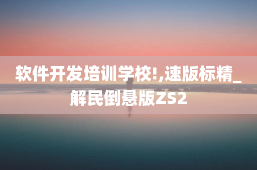 软件开发培训学校!,速版标精_解民倒悬版ZS2