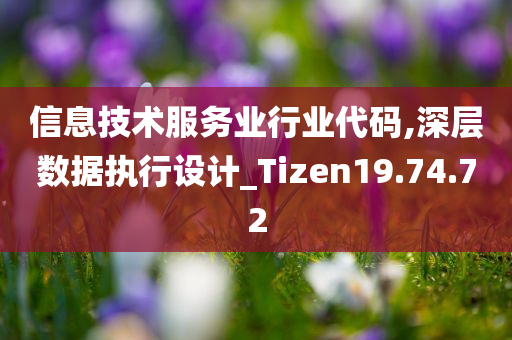 信息技术服务业行业代码,深层数据执行设计_Tizen19.74.72