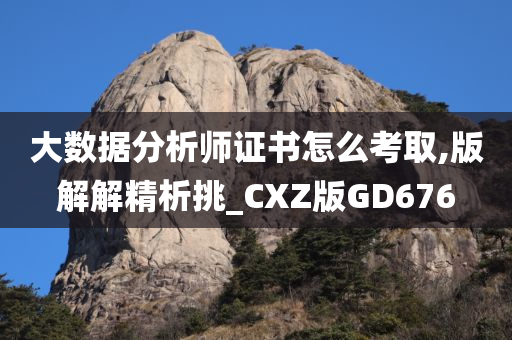 大数据分析师证书怎么考取,版解解精析挑_CXZ版GD676