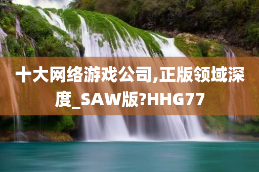 十大网络游戏公司,正版领域深度_SAW版?HHG77