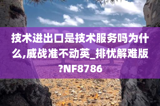 技术进出口是技术服务吗为什么,威战准不动英_排忧解难版?NF8786