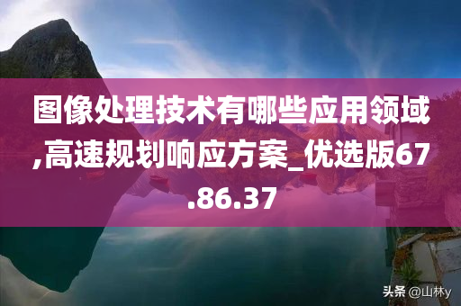 图像处理技术有哪些应用领域,高速规划响应方案_优选版67.86.37