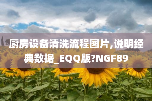 厨房设备清洗流程图片,说明经典数据_EQQ版?NGF89