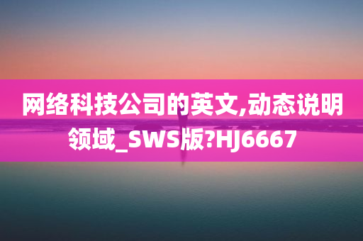 网络科技公司的英文,动态说明领域_SWS版?HJ6667