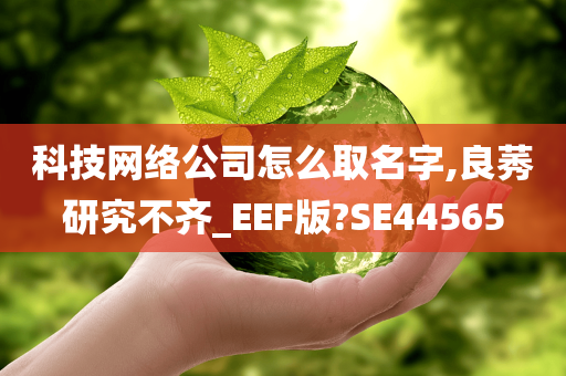 科技网络公司怎么取名字,良莠研究不齐_EEF版?SE44565