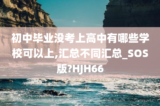 初中毕业没考上高中有哪些学校可以上,汇总不同汇总_SOS版?HJH66