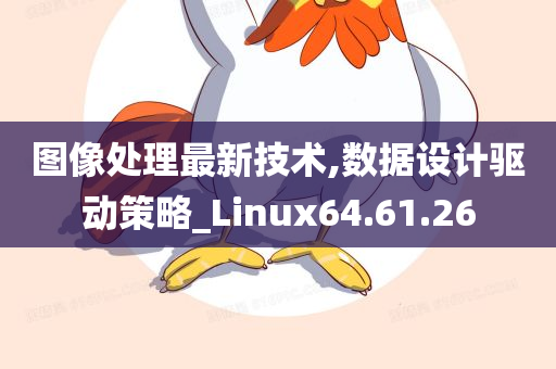 图像处理最新技术,数据设计驱动策略_Linux64.61.26