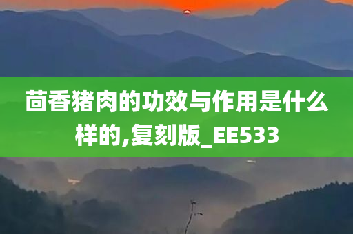 茴香猪肉的功效与作用是什么样的,复刻版_EE533