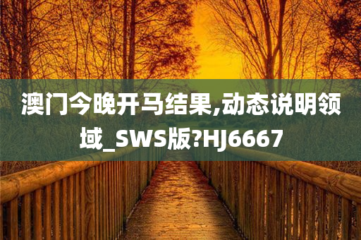 澳门今晚开马结果,动态说明领域_SWS版?HJ6667