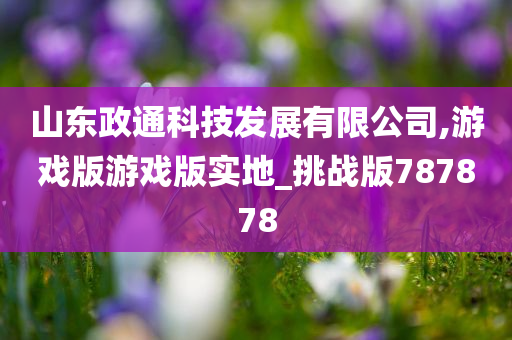 山东政通科技发展有限公司,游戏版游戏版实地_挑战版787878