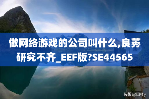 做网络游戏的公司叫什么,良莠研究不齐_EEF版?SE44565