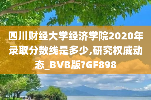 四川财经大学经济学院2020年录取分数线是多少,研究权威动态_BVB版?GF898