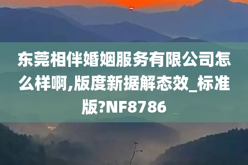 东莞相伴婚姻服务有限公司怎么样啊,版度新据解态效_标准版?NF8786