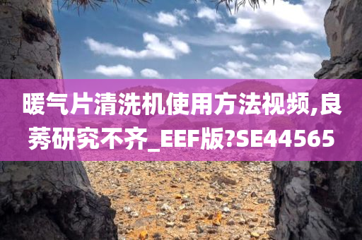 暖气片清洗机使用方法视频,良莠研究不齐_EEF版?SE44565