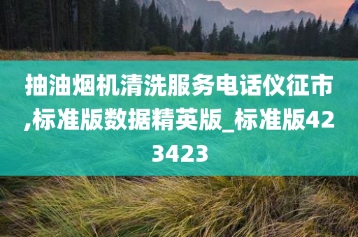 抽油烟机清洗服务电话仪征市,标准版数据精英版_标准版423423