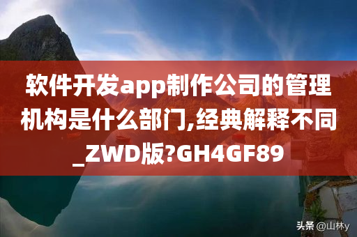 软件开发app制作公司的管理机构是什么部门,经典解释不同_ZWD版?GH4GF89