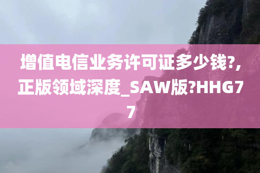 增值电信业务许可证多少钱?,正版领域深度_SAW版?HHG77