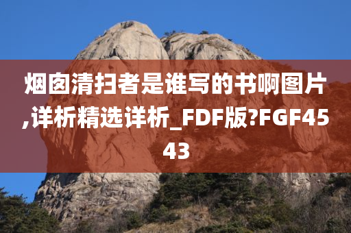 烟囱清扫者是谁写的书啊图片,详析精选详析_FDF版?FGF4543