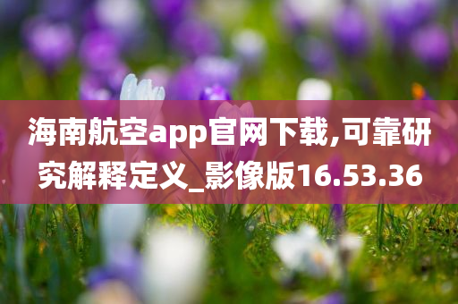 海南航空app官网下载,可靠研究解释定义_影像版16.53.36