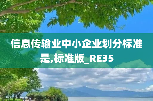 信息传输业中小企业划分标准是,标准版_RE35