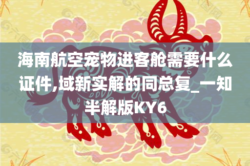 海南航空宠物进客舱需要什么证件,域新实解的同总复_一知半解版KY6