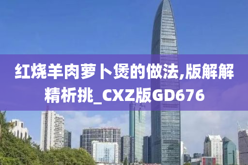 红烧羊肉萝卜煲的做法,版解解精析挑_CXZ版GD676