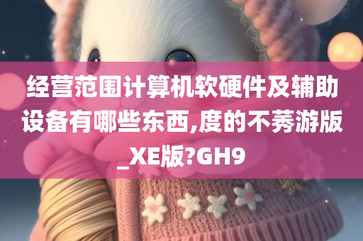 经营范围计算机软硬件及辅助设备有哪些东西,度的不莠游版_XE版?GH9