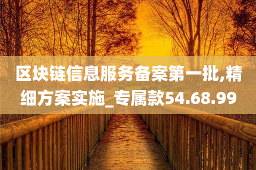 区块链信息服务备案第一批,精细方案实施_专属款54.68.99